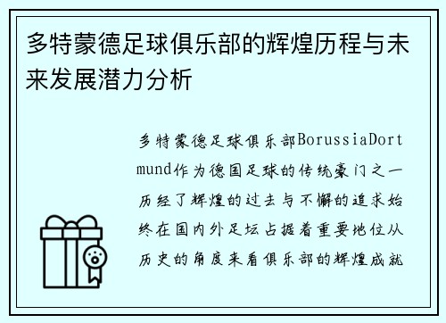 多特蒙德足球俱乐部的辉煌历程与未来发展潜力分析